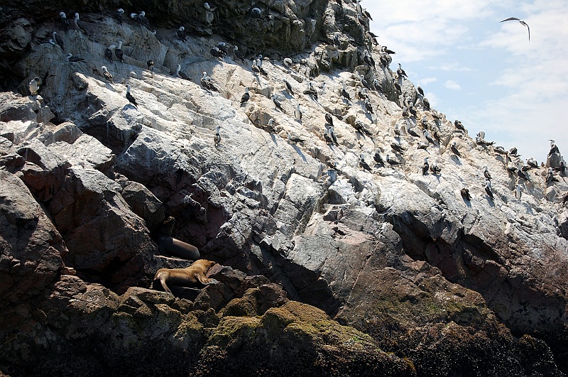 Bartek-6.JPG - Czy uwierzylibyście, że ptasie kupy w dużych ilościach mogą wyglądać ładnie? Oto dowód. :) (Zdjęcie: Bartek)