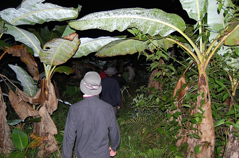 Bartek-33.JPG - Przywdziewamy nasze bojowe gumiaki i ruszamy na nocne chodzenie po dżungli. Poznajecie nasze stroje? Tak, to własnie w nich uczestniczyliśmy w ślubnej ceremonii. Miejsce wymaga szacunku. :) (Zdjęcie: Bartek)