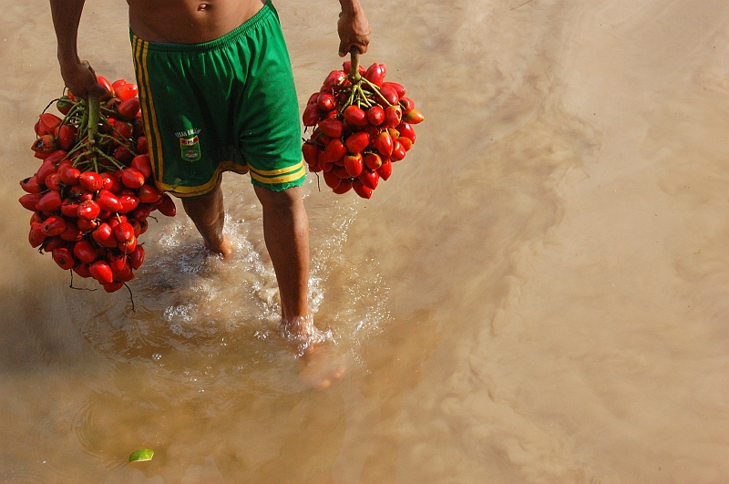 Ania_super-13.JPG - Gospodarz przyniósł z lasu smakowicie wyglądające kiście. (Zdjęcie: Ania)