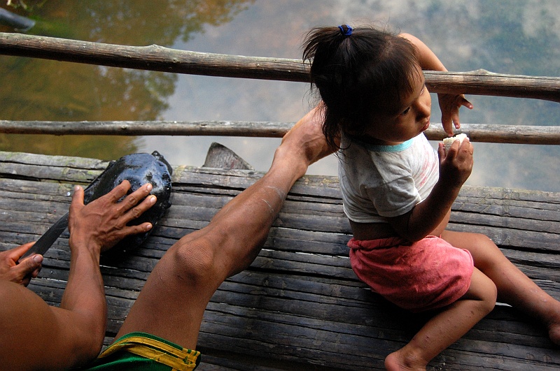 Ania_super-8.JPG - A tutaj gospodarz wkłada do komórki złapanego żółwia. Ponieważ komórka nie ma ścian, polega to na przekłuciu żółwiowej skorupy i przywiązaniu jej sznurkiem do palika. (Zdjęcie: Ania)