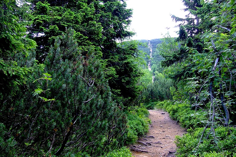 DSCF0718.JPG - Początek bieszczadzki a zarazem nei bieszczadzki.