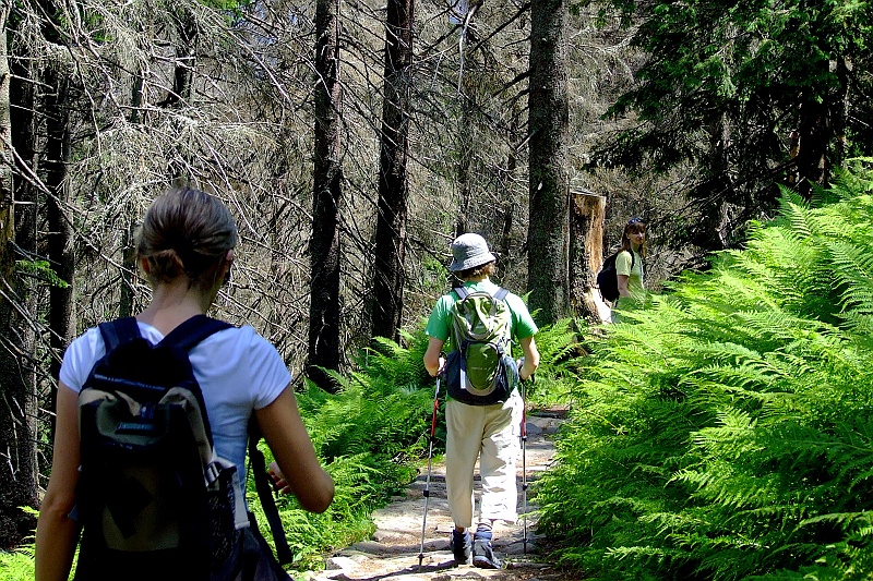 DSCF0724.JPG - Pora wracać i tromba, Babia Góra była bomba.