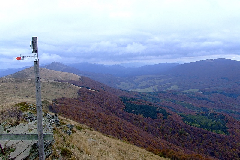 DSCF1350.JPG - I Wetlińską w stronę Przełęczy Orłowicza.