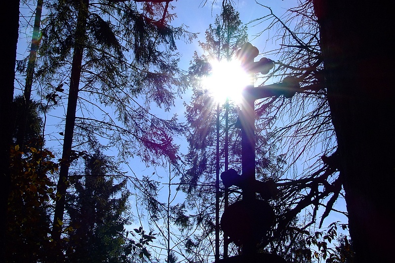 DSCF1444.JPG - W drodze do źródeł Sanu, przez ślady po wymarłych siołach.