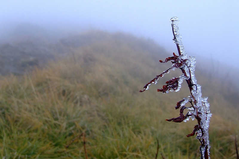 DSCF1584.JPG - Zima już puka do drzwi.
