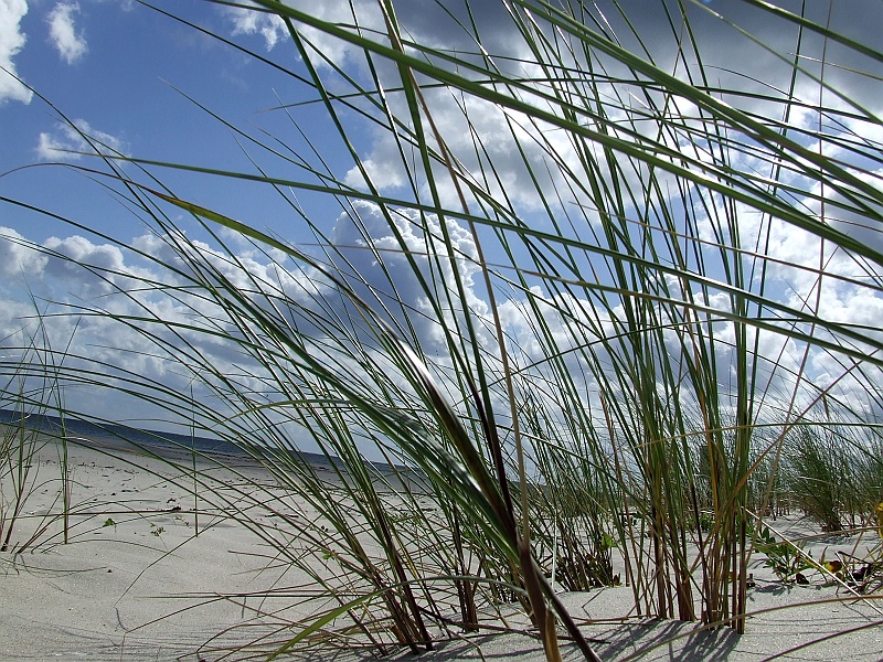 DSCF2643.JPG - Jest pięknie.