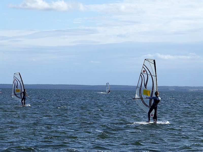 DSCF2765.JPG - Mikroskopijne żagielki na początek. I podstawy typu 'tu stań', 'tu podejdź', 'tu złap'. :)