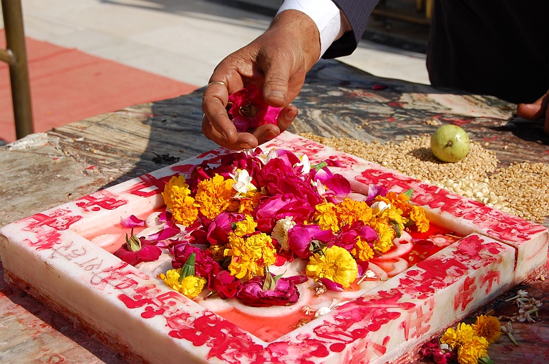 08_09.JPG - Kwiatki ofiarne. (Zdjęcie: Ania)