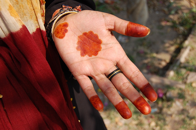 10_44.JPG - Zdobienie dłoni henną. (Zdjęcie: Ania)