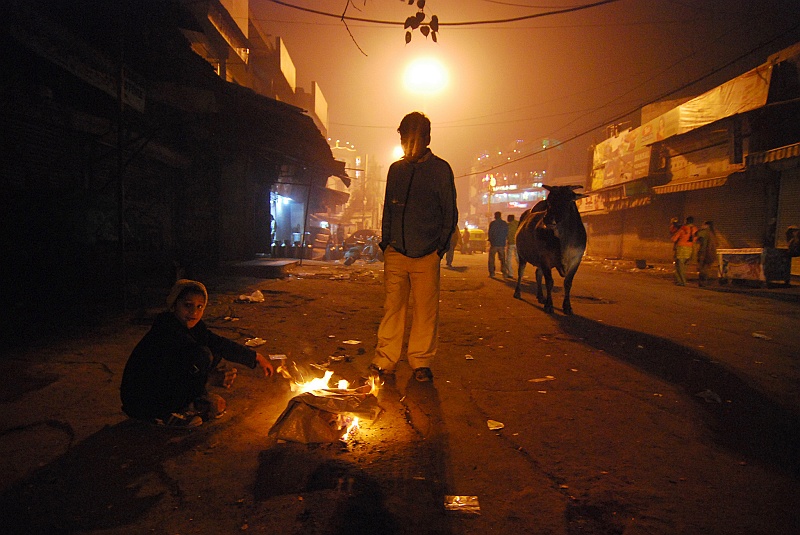 Indie0029.JPG - Wieczorny klimat. Pierwsze uliczne ogniska. Pierwsze święte krowy. Delikatny syf i rozgardiasz. :) (Zdjęcie: Laura i Astronom)