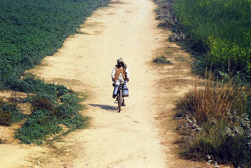 Indie0394.JPG - Widoki z pociągu. (Zdjęcie: Laura i Astronom)