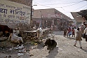 12.Jodhpur_Imag0377c