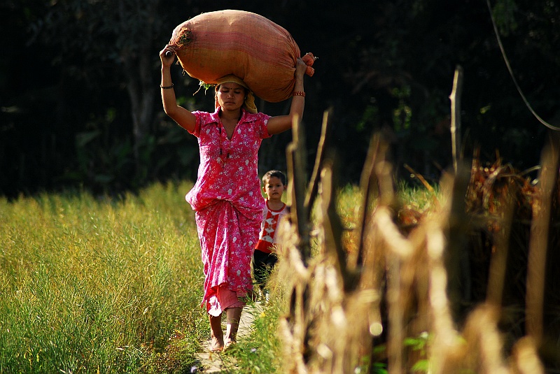 Indie0328.JPG - Odwiedziliśmy lokalne wioski ludu Taru. (Zdjęcie: Laura i Astronom)