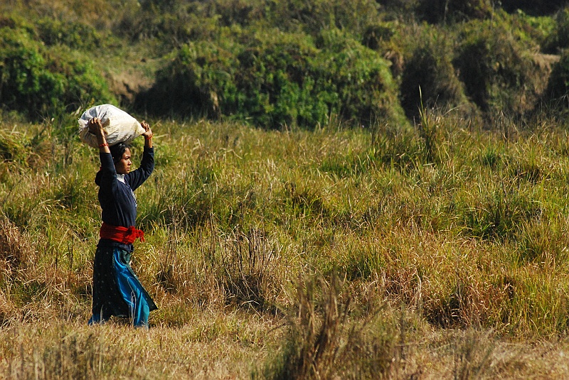 Indie0365.JPG - Powrót z dżungli. (Zdjęcie: Laura i Astronom)