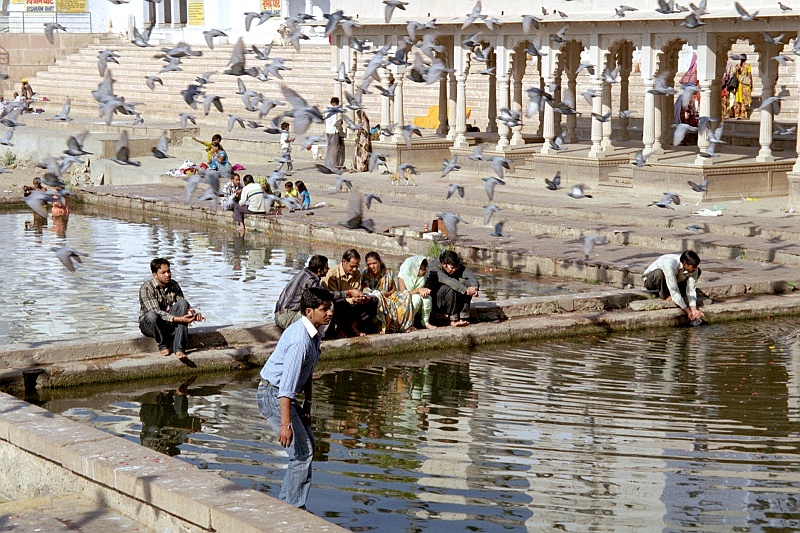 11_01.JPG - Święta sadzawka w Puszkarze. Mafia braminów, która opanowała to miasteczko, odgania od tego miejsca i wprowadza rozliczne, przeważnie wydumane, zakazy. (Zdjęcie: Ania)