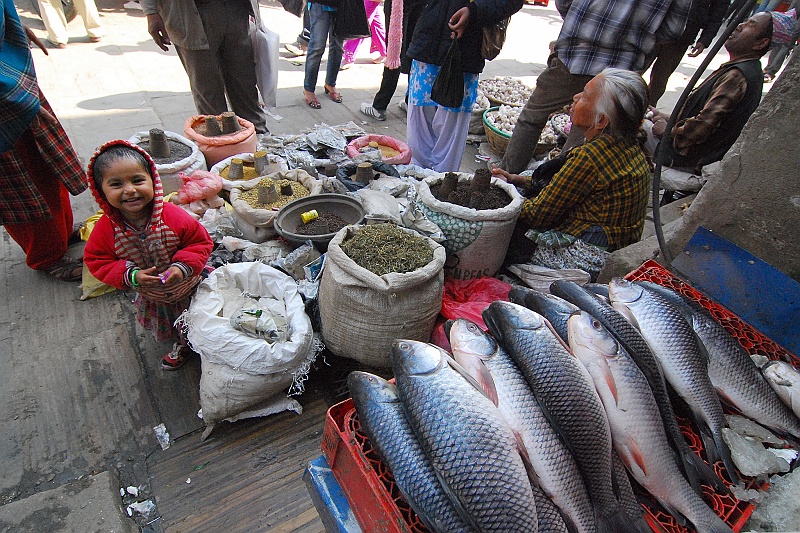 Indie0178.JPG - Rybki spotkać było można bardzo rzadko. Ale zdarzały się. (Zdjęcie: Laura i Astronom)