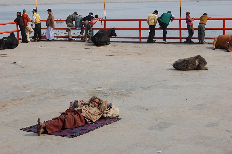 03_48.JPG - Dobra miejscówa do poleżenia. Krowy też tak uważają. :) (Zdjęcie: Ania)