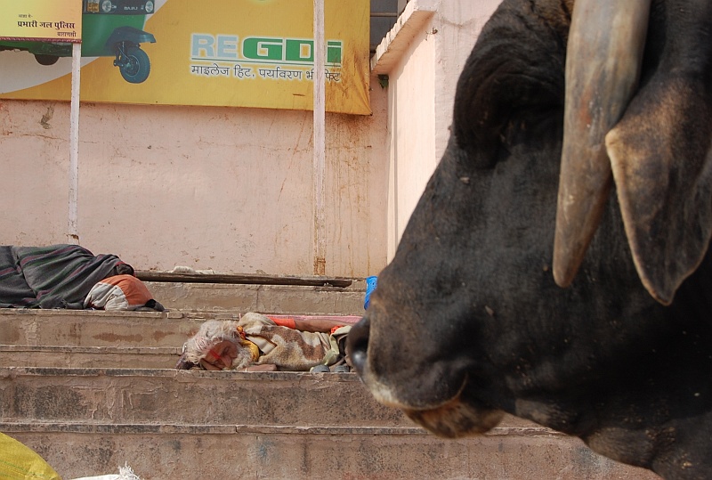 03_53.JPG - Nocleg na stopniach ghatów. (Zdjęcie: Ania)