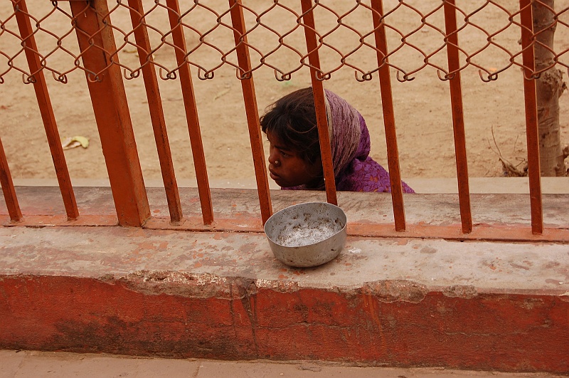 03_67.JPG - Po gorszej stronie płotu. (Zdjęcie: Ania)