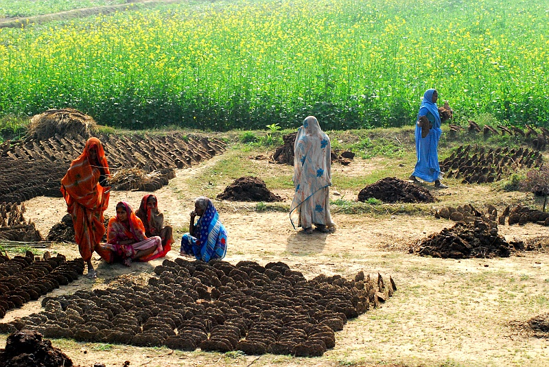 Indie0064.JPG - Z okien pociągu widać suszene krowich placków, które używane są jako opał. (Zdjęcie: Laura i Astronom)