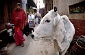 03.Varanasi_Imag0602