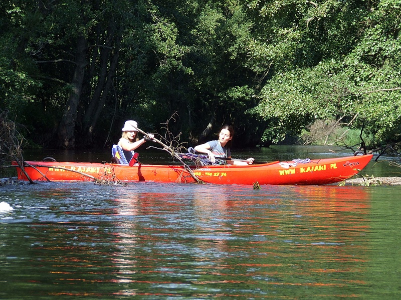 DSCF7084.JPG - Ale chwila nieuwagi i dekoncentracji przyniosła tragiczny finał. Krzaki, z których niełatwo było się oswobodzić.