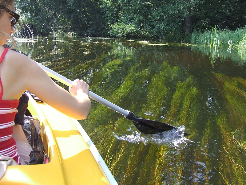 2006_0814CzarnaHancza0124.JPG - Woda jest krystaliczna.