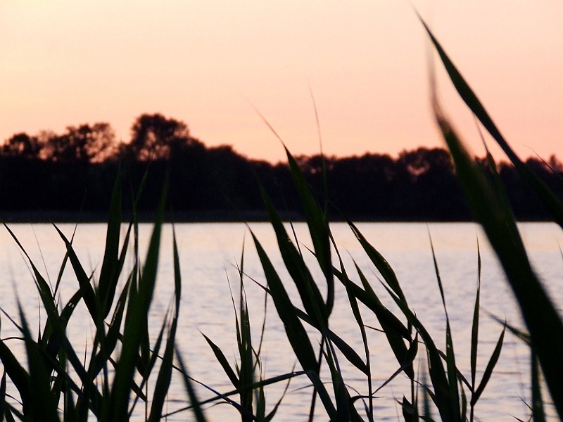 DSCF4050.JPG - Zapada zmrok.