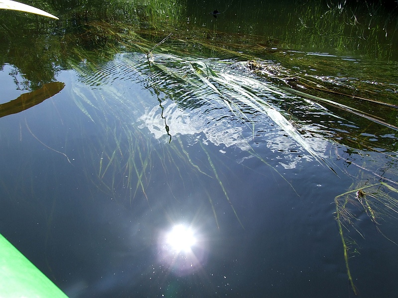 DSCF4254.JPG - O mądra woooodoooooo!.. :)