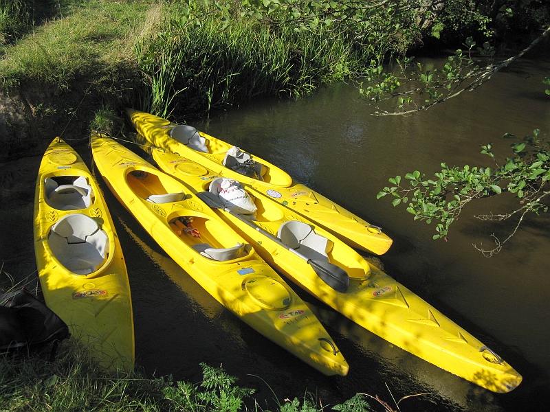 IMG_1305.JPG - Nasze tegoroczne bolidy w modnym, żółtym kolorze. Najcięższe i najbardziej kobylaste kajaki  z jakimi do tej pory mieliśmy do czynienia -- ciągła jazda bokiem i problem z wyjściem ze skrętu. Ale z drugiej strony - niezniszczalne polipropylenowe, płaskodenne czołgi. Inne po prostu nie nadają się na Tanew.