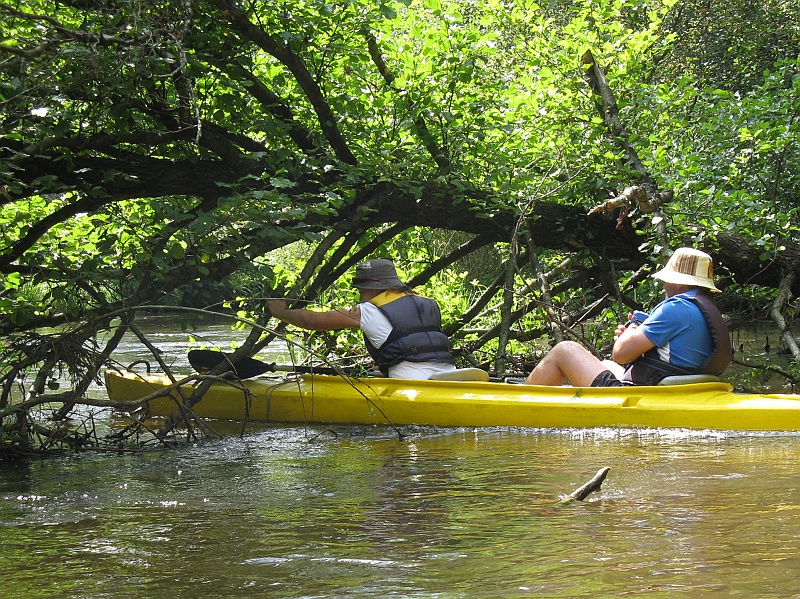 IMG_1346.JPG - No dobrze, pora przecisnąć się pod kolejnymi konarami, dwieście pięćdziesiątymi szóstymi, jeżeli nie pomyliłem rachuby. Osobno liczymy, rzecz jasna, zwalone drzewa. :)