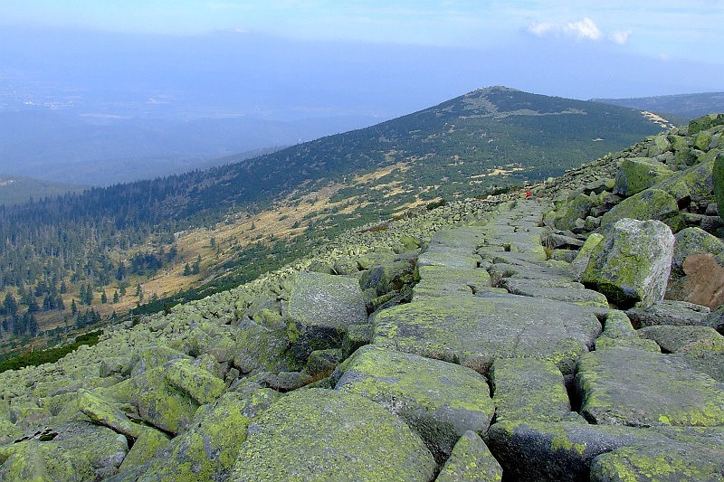 DSCF1048.JPG - Mchy i porosty, kamienie na szkalu ułożone porządnie, jak się patrzy.