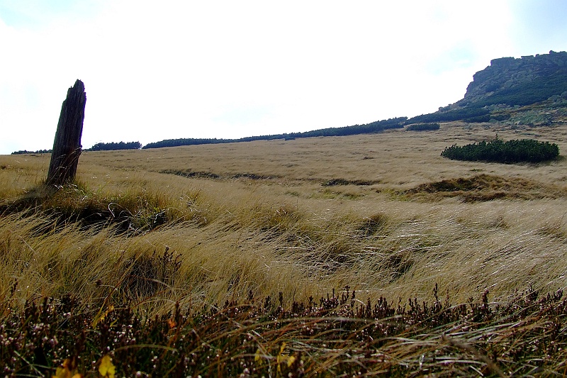 DSCF1065.JPG - Meandrujemy sobie na stronę czeską.