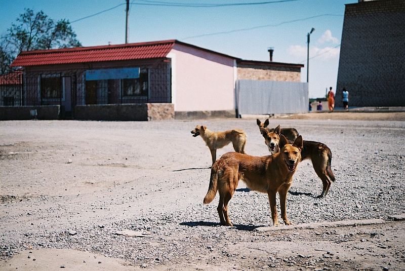 kaza-kirg0290.JPG - Centrum. (Zdjęcie: Laura i Astronom)