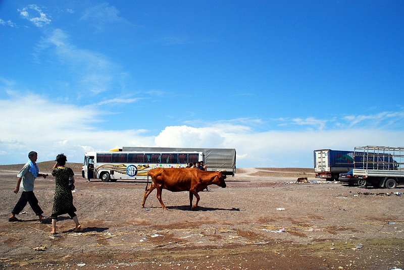 kaza-kirg0293.JPG - Szalony autobus nieoczekiwanie zatrzymał się na plaży. Plaża nad Bałchaszem wygląda właśnie tak. Pan kierowca nakazał wszystkim pasażerom kąpiel odświeżającą. Na końcu sam się wykąpał i ruszyliśmy dalej. (Zdjęcie: Laura i Astronom)