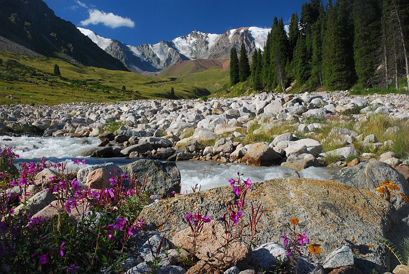 kaza-kirg0401.JPG - Potok zasilany z topniejącego lodowca. (Zdjęcie: Laura i Astronom)