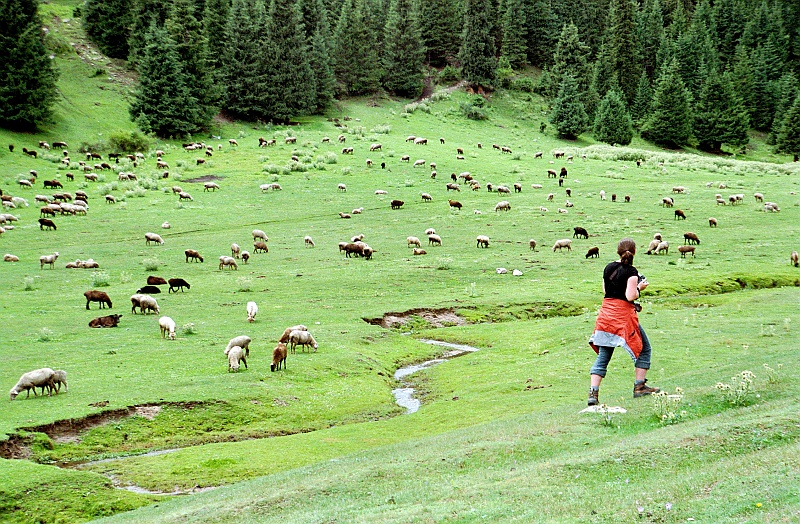 Image0276.jpg - Be!, be!, be! - kopytka niosą mnie! (Zdjęcie: Bartek)