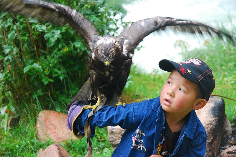kaza-kirg0175.JPG - Mały Kirgiz-sokolnik. (Zdjęcie: Laura i Astronom)