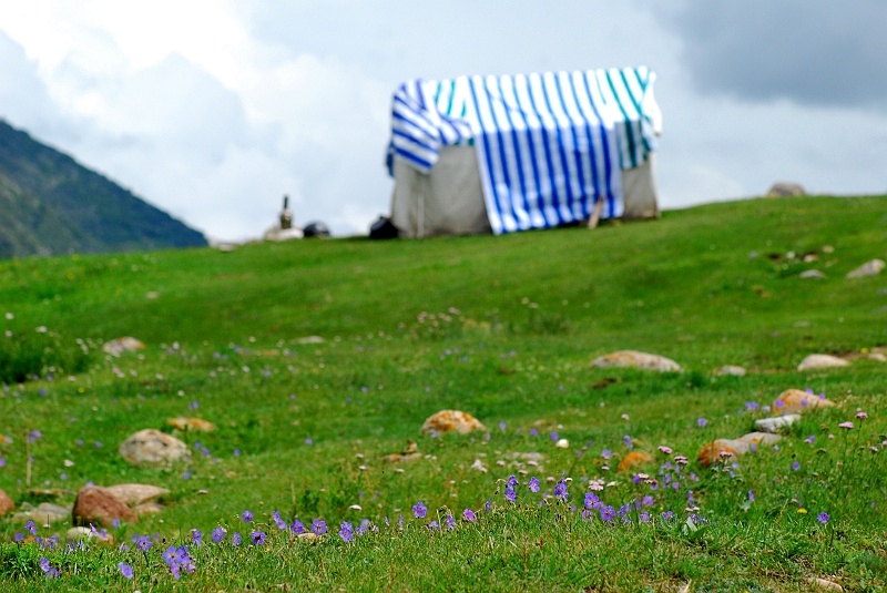 kaza-kirg0191.JPG - Górski namiot pasterzy. (Zdjęcie: Laura i Astronom)