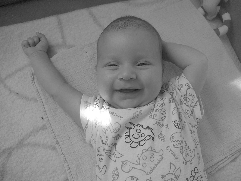 05-DSCF6280.JPG - Po zastanowieniu, chyba nie jest tu źle... Zostaję!