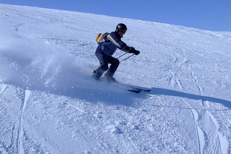 DSCF4062.JPG - Sokół usiłuje staranować zdjęciowego. Próba nieudana.