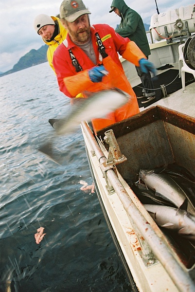 F1000017.JPG - A to już instruktaż łowienia dorsza. Dwie krótkie demonstracje i zabieramy się do roboty. (Zdjęcie - Rafał).
