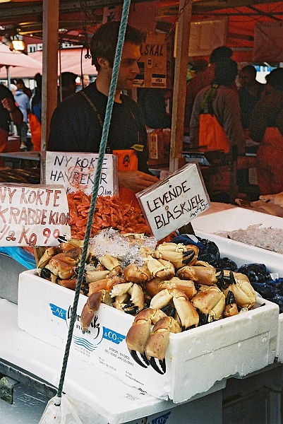 F1010001.JPG - Na targu w Bergen. Aliens from the Abbys.(Zdjęcie - Rafał).