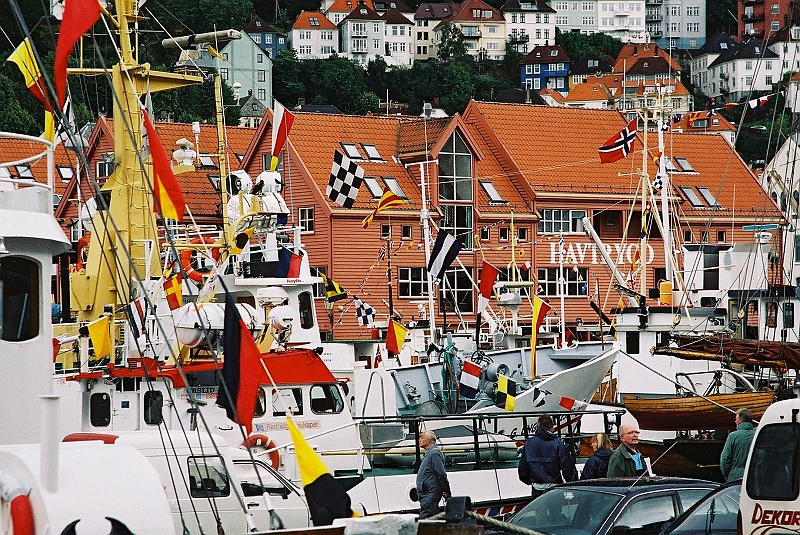 F1010005.JPG - Kolorowy port. (Zdjęcie - Rafał).