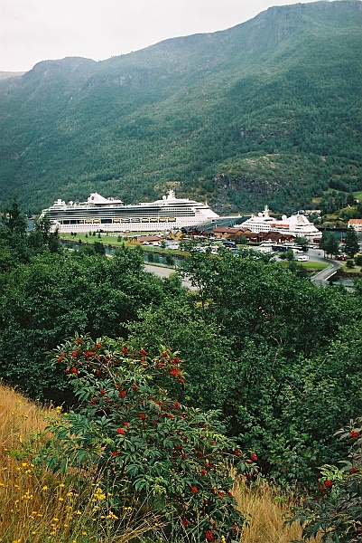 F1040016.JPG - "Jewell of the Sea" z bliska. Wysypali się z niego Japończycy w dużych ilościach. (Zdjęcie - Rafał).