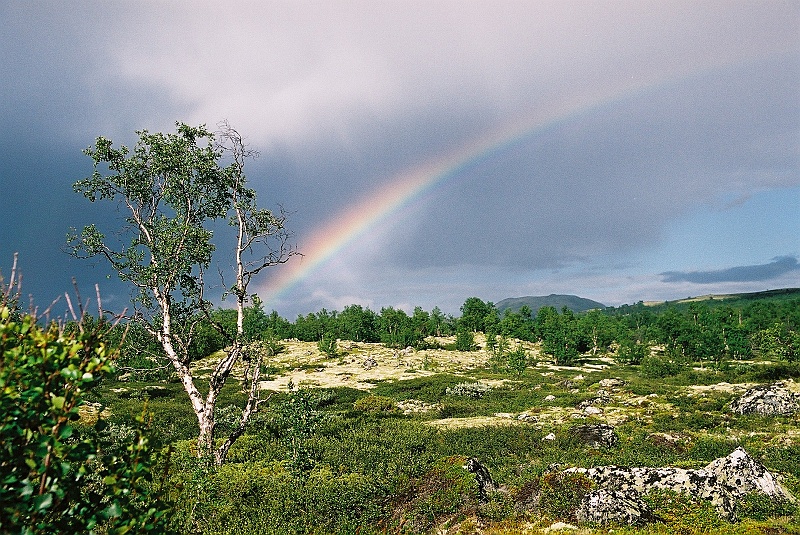 F1060003.JPG - Tęcza numer 157. (Zdjęcie - Rafał).