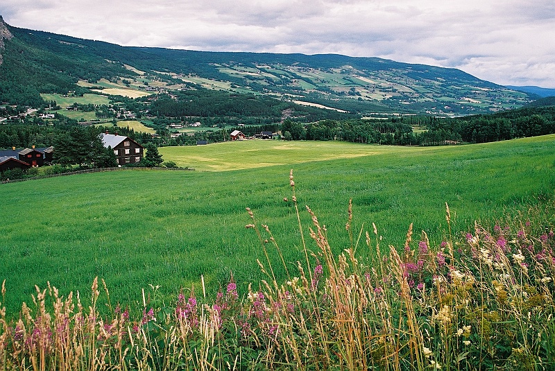 F1060007.JPG - Typowa Lo-fota. (Zdjęcie - Rafał).