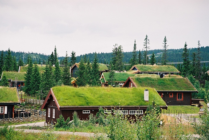 F1060018.JPG - Wypielędnowane trawniczki. Ech, ci Norwegowie. (Zdjęcie - Rafał).