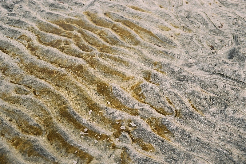 F1070012.JPG - Impresja oceaniczno-plażowa. (Zdjęcie - Rafał).