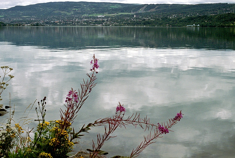 norwegia0044.jpg - A ta miejscowość to Lillehammer, widać skocznie narciarskie. (Zdjęcie - Ania).